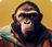 Artist Profile Picture